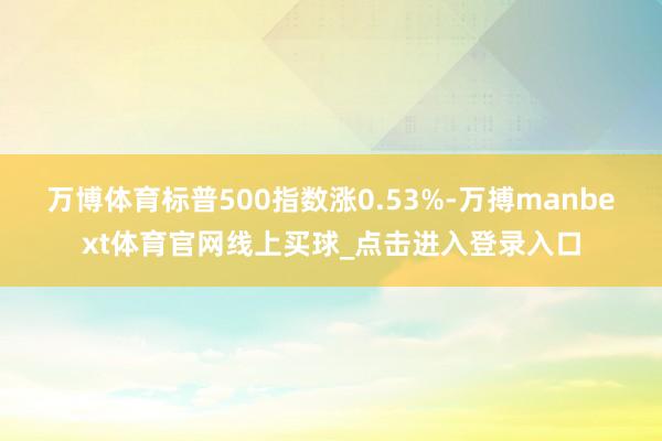 万博体育标普500指数涨0.53%-万搏manbext体育官网线上买球_点击进入登录入口