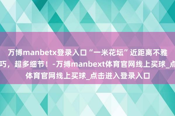 万博manbetx登录入口“一米花坛”近距离不雅察花卉，结构小巧，超多细节！-万搏manbext体育官网线上买球_点击进入登录入口