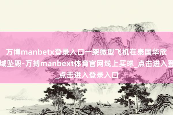 万博manbetx登录入口一架微型飞机在泰国华欣隔壁海域坠毁-万搏manbext体育官网线上买球_点击进入登录入口